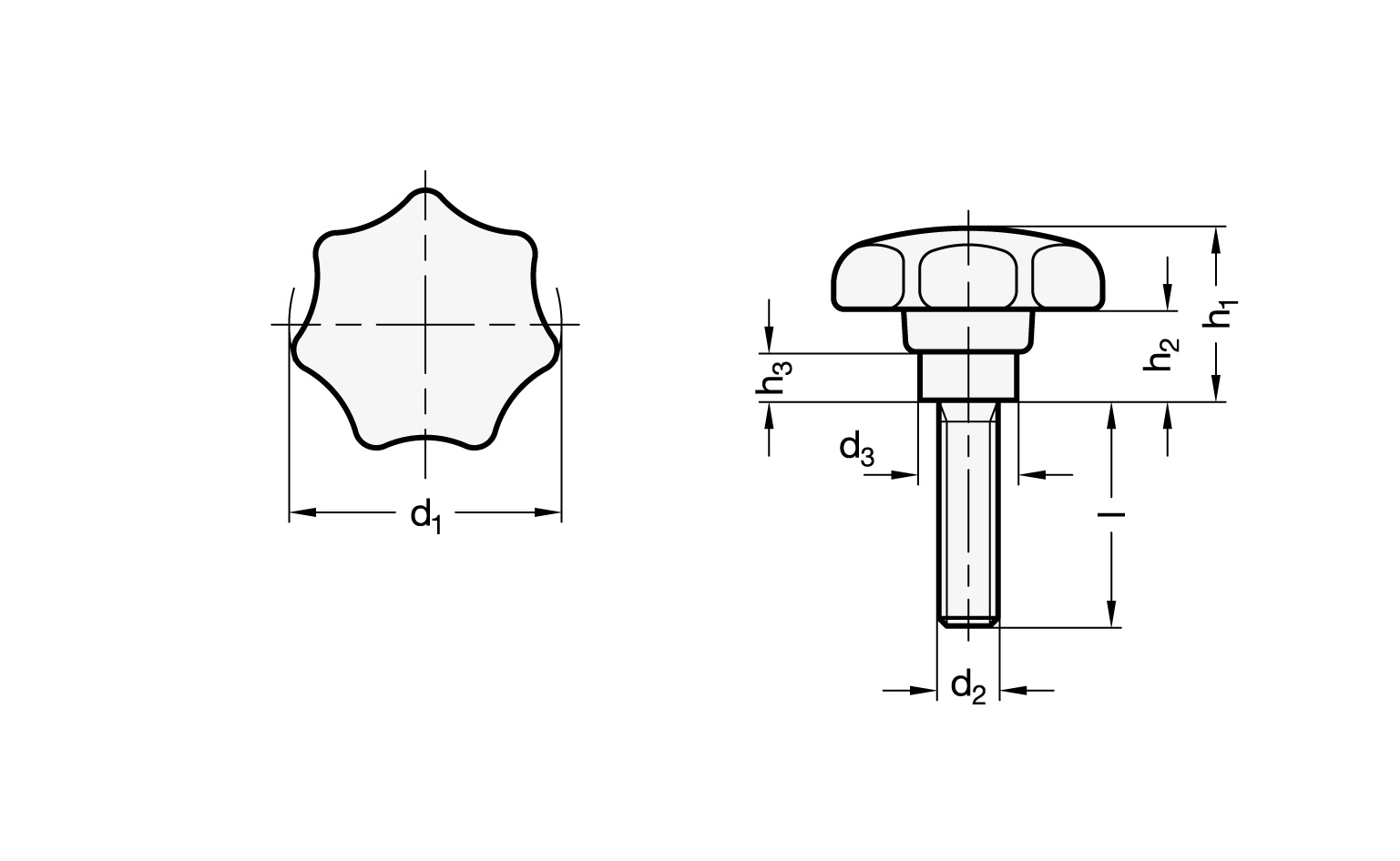 Sterngriff GN 6336.4 mit vorstehender Stahlbuchse, Thermoplast, Zeichnung